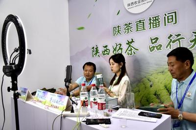 陕西借第四届中国国际茶博会平台推介茶叶品牌 促进市场营销